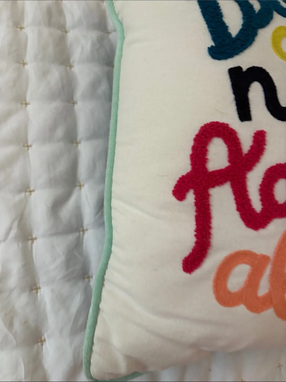 Pillowfort Embroidered 'Dream all night Adventure all day' Throw Pillow - Multi